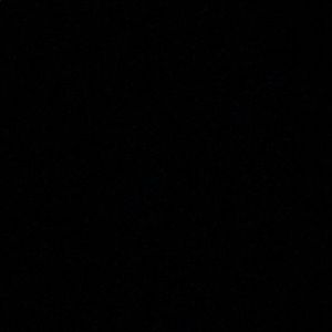 Meet your Posher, Tyara